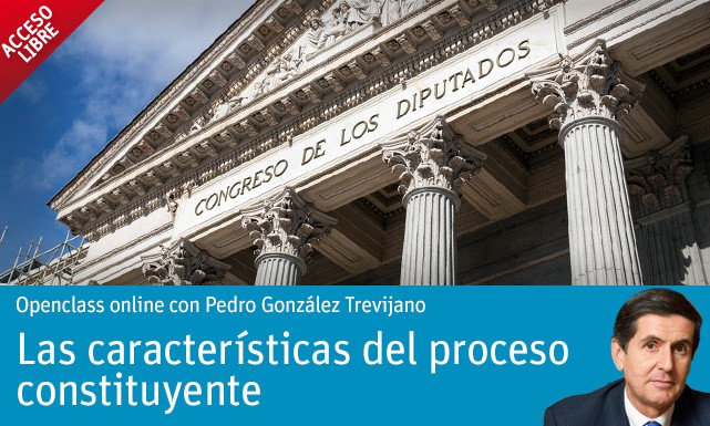 Las caracter&iacute;sticas del proceso constituyente