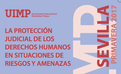 La protecci&oacute;n judicial de los derechos humanos en situaciones de riesgos y amenazas