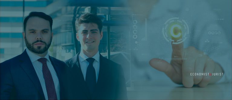 Defensa jur&iacute;dica de los programas de ordenador: pirater&iacute;a y medidas preventivas