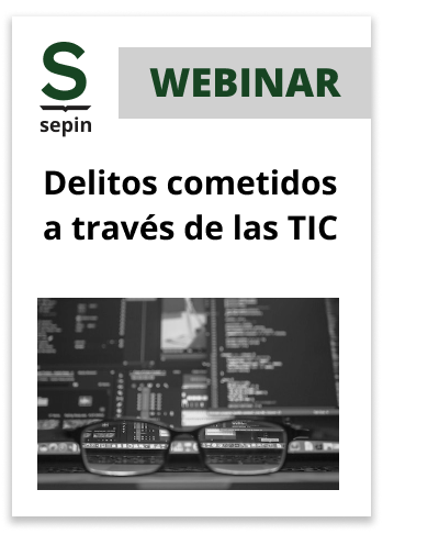 Delitos cometidos a trav&eacute;s de las TIC