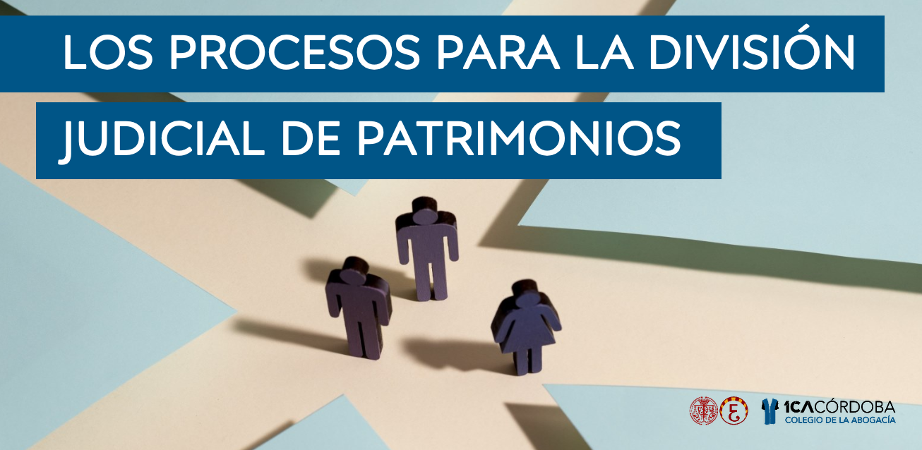 Los procesos para la divisi&oacute;n judicial de patrimonios