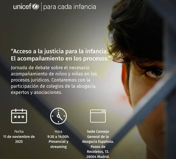 Acceso a la justicia para la infancia. El acompa&ntilde;amiento en los procesos